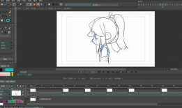 动漫帧数,揭秘动漫帧数背后的艺术魅力